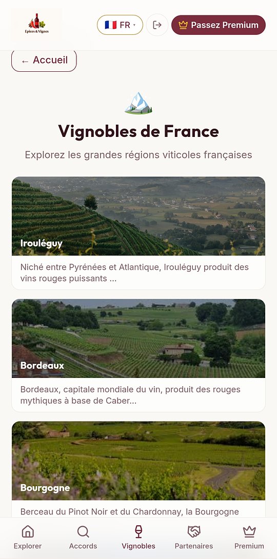 Vignobles de France : Irouléguy, Bordeaux, Bourgogne — Épices & Vignes